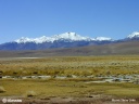 Paysages de l'altiplano