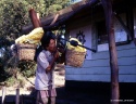 Les porteurs de soufre du Kawa Ijjen, Java, Indonésie : la pesée