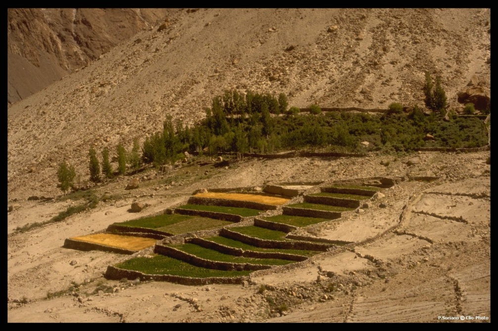 Pakistan, Passu, vallée Hunza