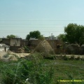 Paysage rural du Rajasthan