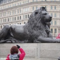Le lion de Trafalgar Square