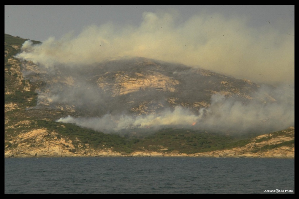 Incendies de forêts en Corse