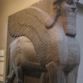 Taureau ailé assyrien