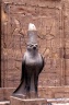 Statue d’Horus à Edfou