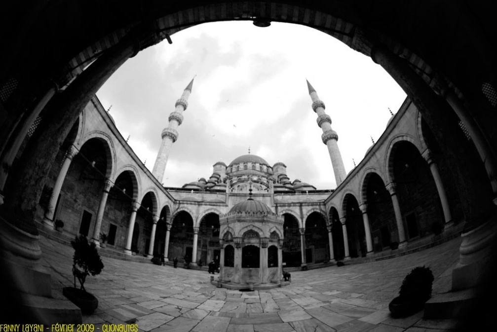 Cour intérieure - mosquée de Sultanahmet - Istanbul