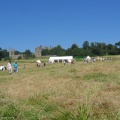 Le site de la bataille de Hastings