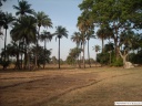 Casamance rizière en saison sèche