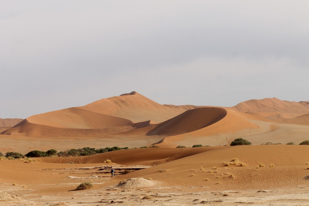Dune de Sossüsvlei (Namib Naukluft National Park, Namibie
