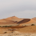 Dune de Sossüsvlei (Namib Naukluft National Park, Namibie