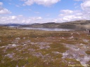 Plateau d'Hardangervidda