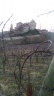 Le château de Reichenberg et son terroir viticole
