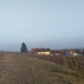 Terroir viticole de Bergheim.jpg