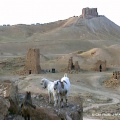 Palmyre : vallée des tombeaux