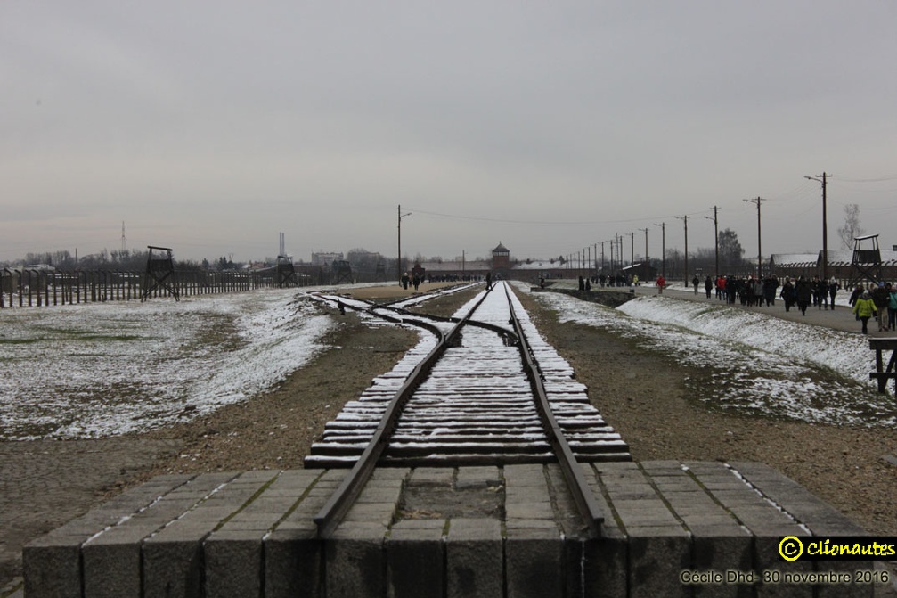 Auschwitz II Birkenau : intérieur du camp, vue depuis le Monument international