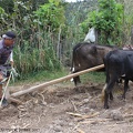 Labourage de la terre à San Juan, Equateur