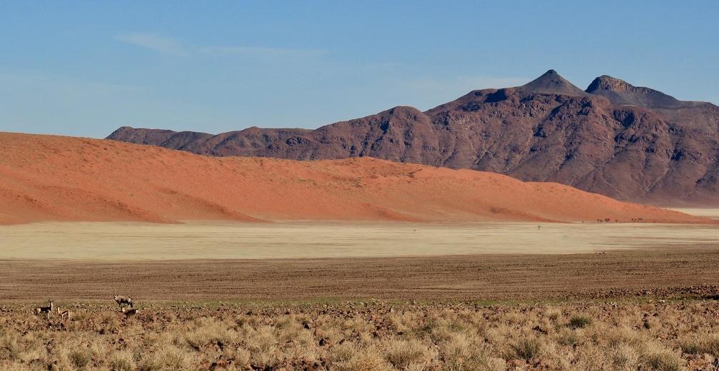 Couleurs du désert du Namib