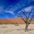 Deadvlei, Namibie
