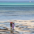 Un lagon bien exploité, Zanzibar