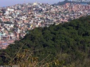 São Paulo favela Vista Alegre et forêt