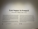 Pompéi - expo SF