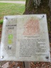 Cartel accompagnant l'arbre de Clermont de l'Oise, protant, par tradition, le nom de Guillaume Calle
