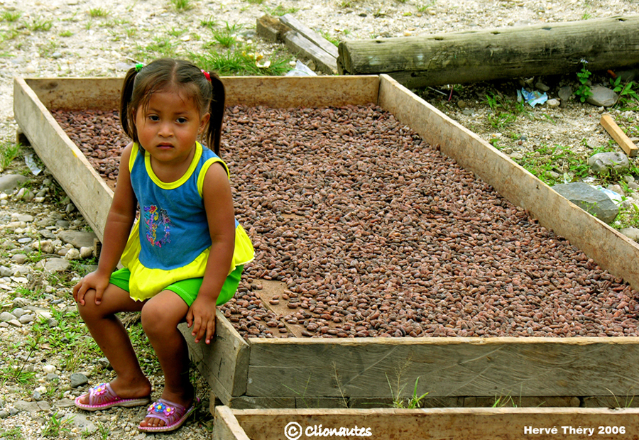 Sèchage des fèves de cacao