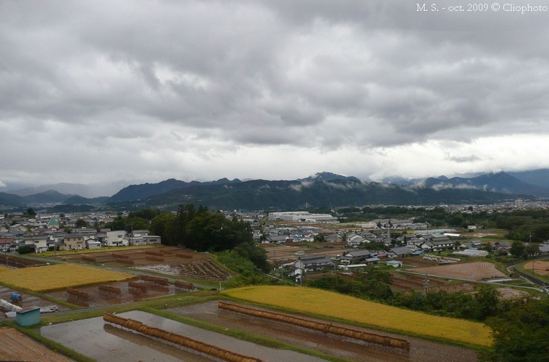 riziculture à Nagano