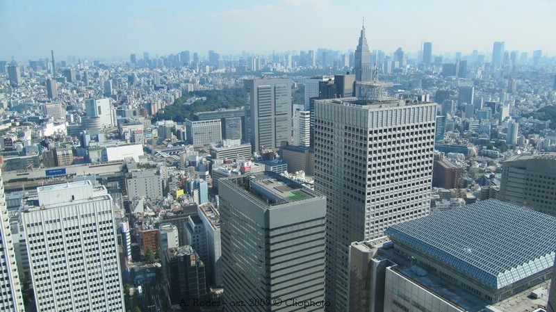 Vue de Tokyo depuis le Metropolitan Government Building