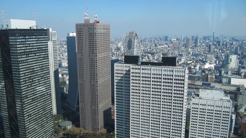 Vue de Tokyo depuis le Metropolitan Government Building
