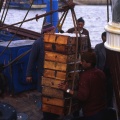 Essaouira : retour de pêche