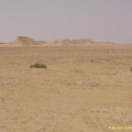Sahara tunisien