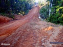 Route amazonienne
