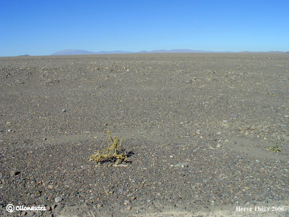 Desert_Atacama.jpg