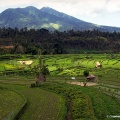 Rizières en terrasses au pied du volcan Agung