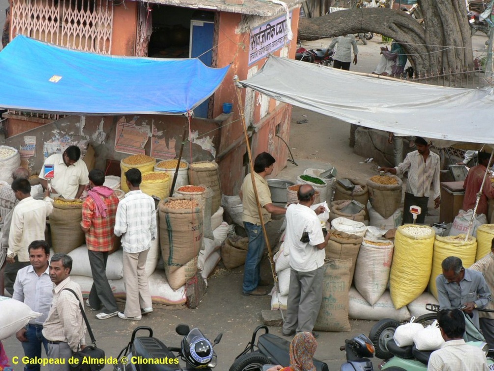 vendeurs d'épices à Jaïpur