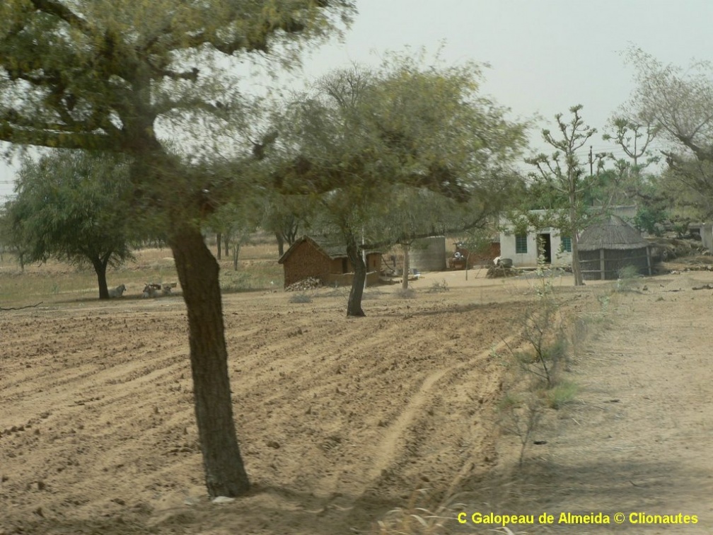 Exploitation agricole dans le Rajasthan