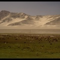 Chine, nomades tadjiks