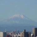 Le Fuji