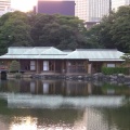 jardin hama-rikyu