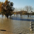 Inondations à Avignon