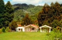 Fare: habitat traditionnel maori
