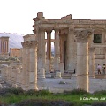 Palmyre :  temple de Baalshamin
