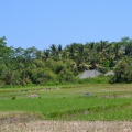 Bali-Rizieres